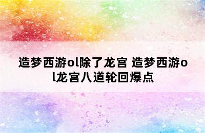 造梦西游ol除了龙宫 造梦西游ol龙宫八道轮回爆点